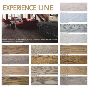 Experience Line